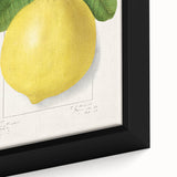 Close-up of extra large black wall art featuring colorful, textured fruits on framed canvas, ideal for living room decor.