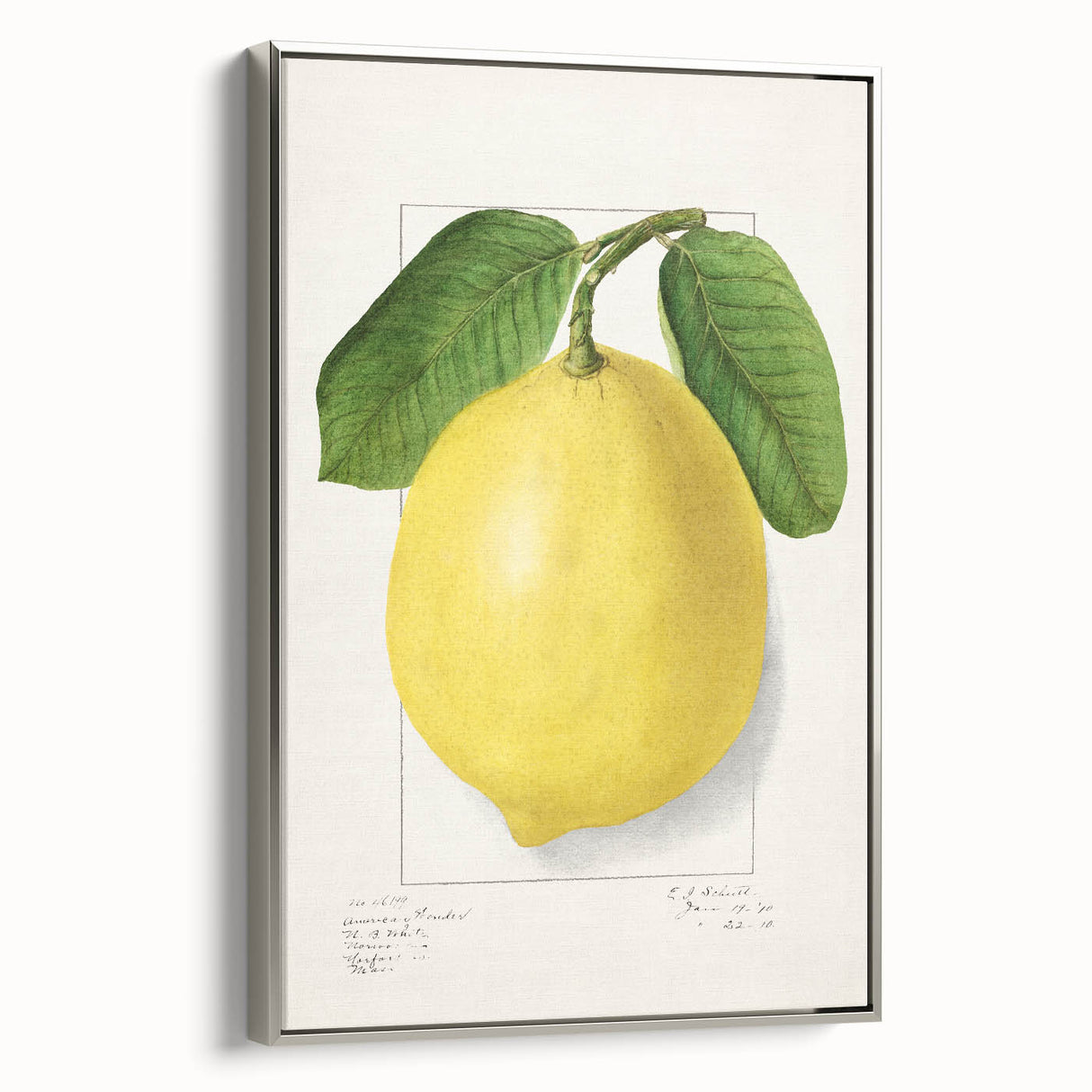 Landscape art painting featuring colorful fruits on a black background, framed in silver, ideal for kitchen wall decor.