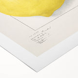 Art deco poster featuring an assortment of fruits in bold colors on rolled canvas, suitable for dining room decor.