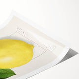 Extra large wall art featuring line art flowers in black on white, rolled print format.