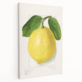 Large canvas print featuring an array of colorful fruits, ideal for kitchen wall art.