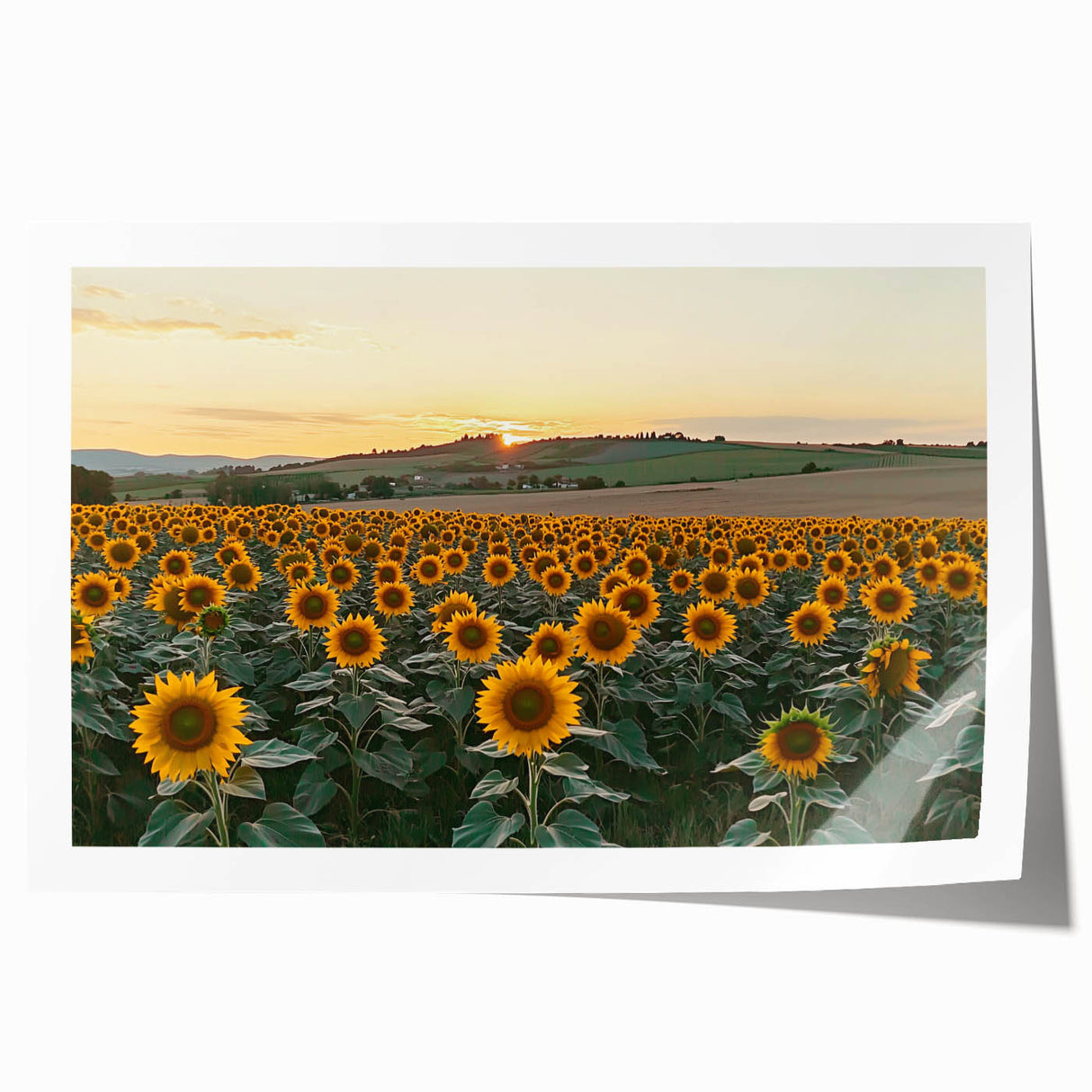 Rolled print of a serene countryside landscape showcasing rolling hills, vibrant greenery, and a clear blue sky, designed to enhance home decor and relaxation.