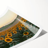 Rolled landscape print depicting a serene countryside scene with rolling hills and a vibrant sky, elegantly packaged in a protective cardboard tube for easy transport.