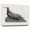 Modern Wall Art - Cormorant on Nest - Contemporary Minimalist Print