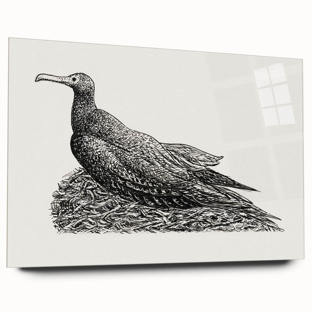 Modern Wall Art - Cormorant on Nest - Contemporary Minimalist Print