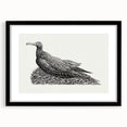 Modern Wall Art - Cormorant on Nest - Contemporary Minimalist Print