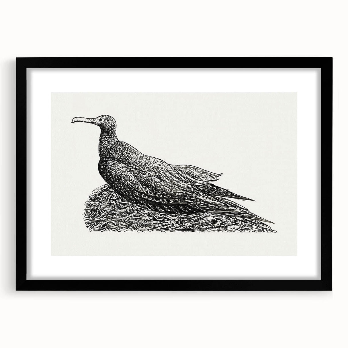 Modern Wall Art - Cormorant on Nest - Contemporary Minimalist Print