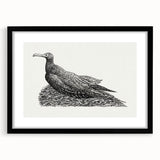 Modern Wall Art - Cormorant on Nest - Contemporary Minimalist Print