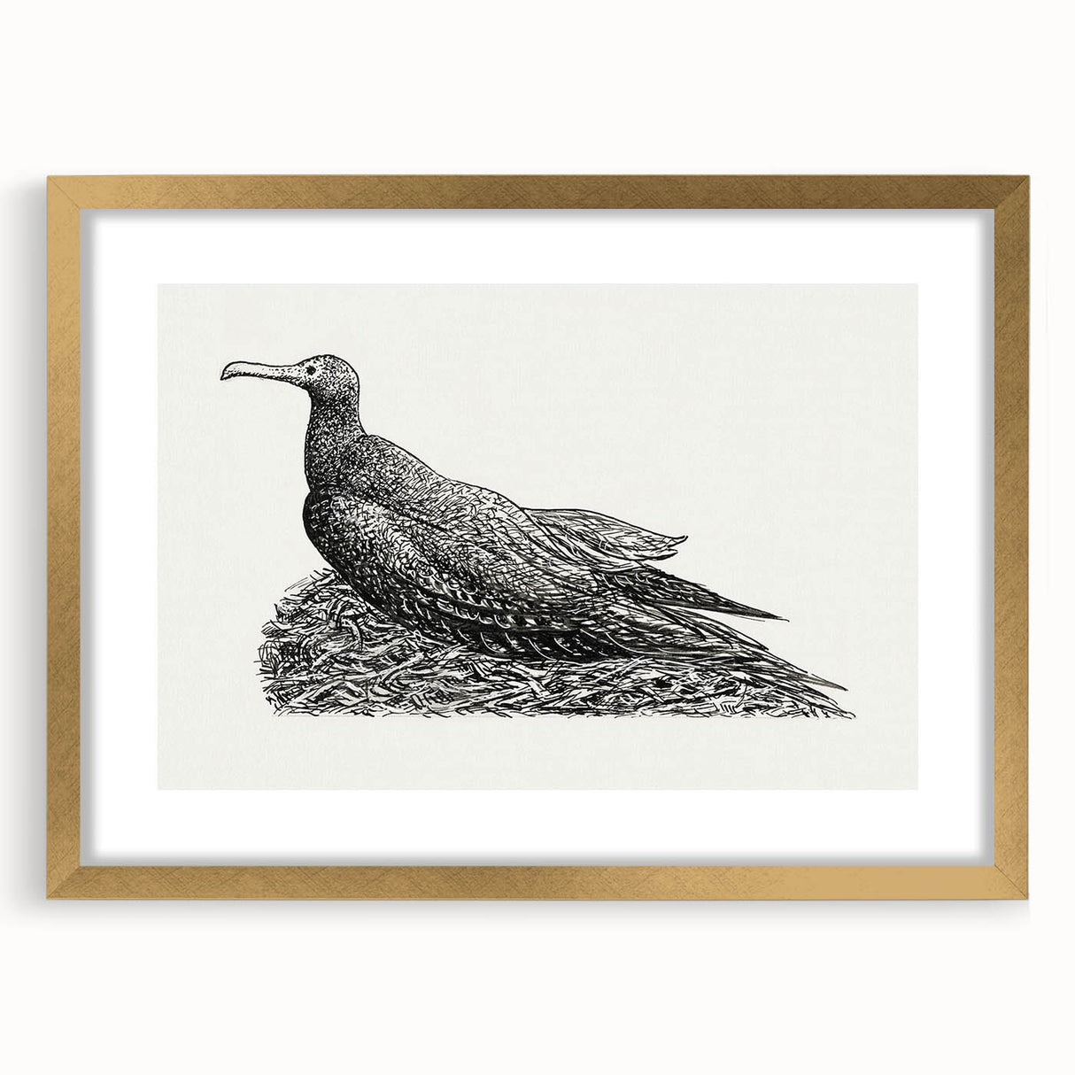 Modern Wall Art - Cormorant on Nest - Contemporary Minimalist Print