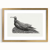 Modern Wall Art - Cormorant on Nest - Contemporary Minimalist Print
