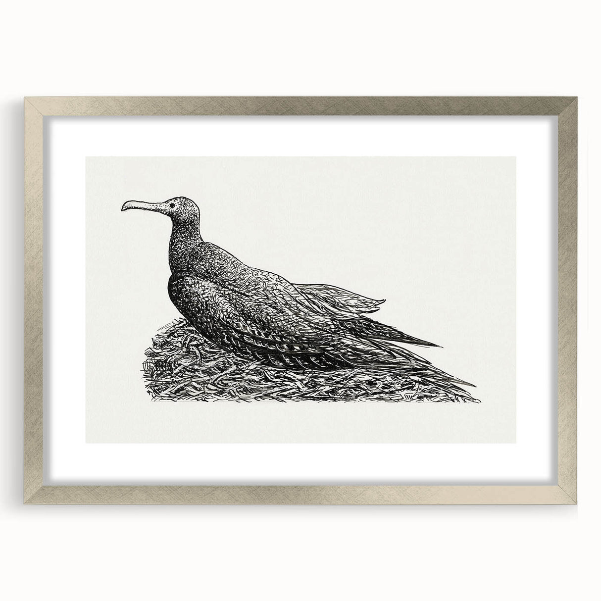 Modern Wall Art - Cormorant on Nest - Contemporary Minimalist Print