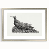 Modern Wall Art - Cormorant on Nest - Contemporary Minimalist Print