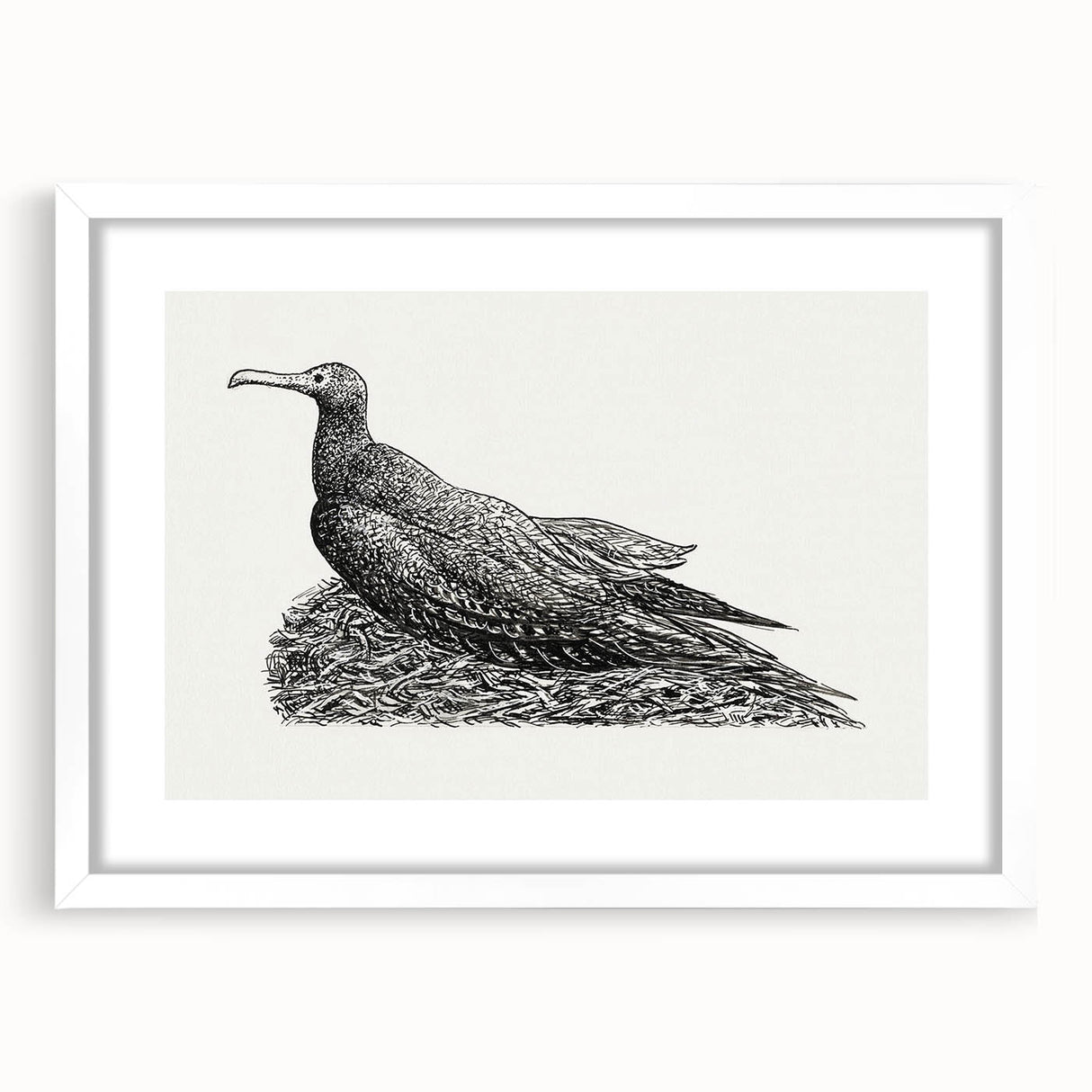 Modern Wall Art - Cormorant on Nest - Contemporary Minimalist Print