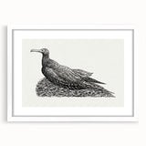Modern Wall Art - Cormorant on Nest - Contemporary Minimalist Print