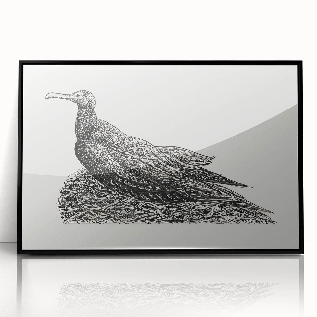 Modern Wall Art - Cormorant on Nest - Contemporary Minimalist Print