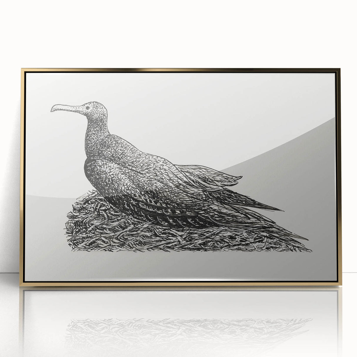 Modern Wall Art - Cormorant on Nest - Contemporary Minimalist Print