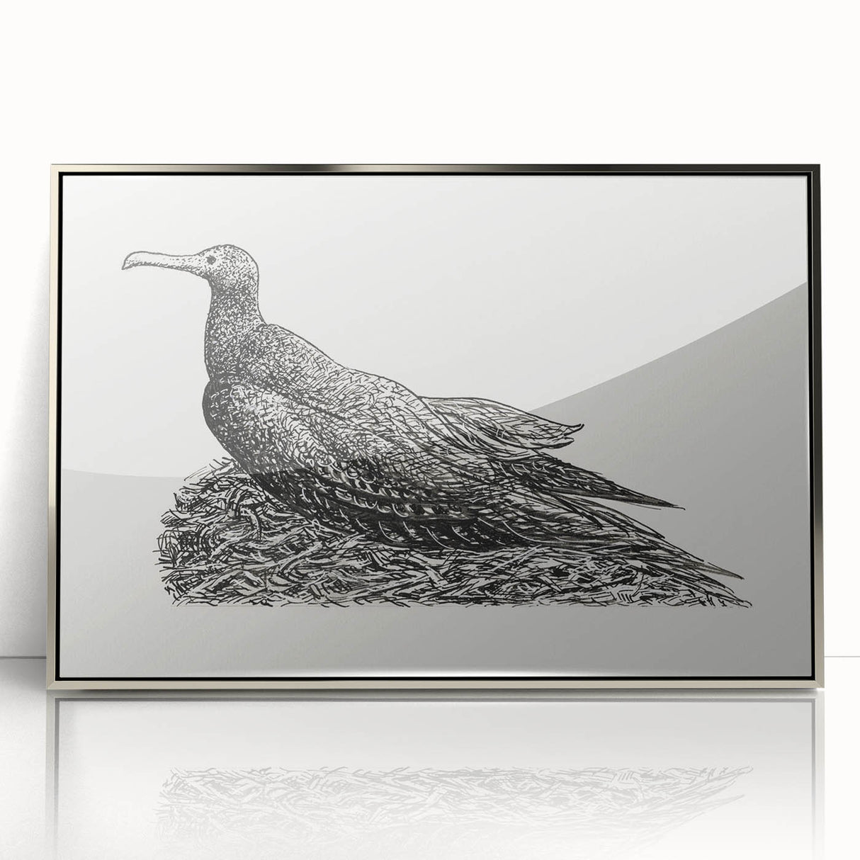 Modern Wall Art - Cormorant on Nest - Contemporary Minimalist Print