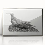 Modern Wall Art - Cormorant on Nest - Contemporary Minimalist Print