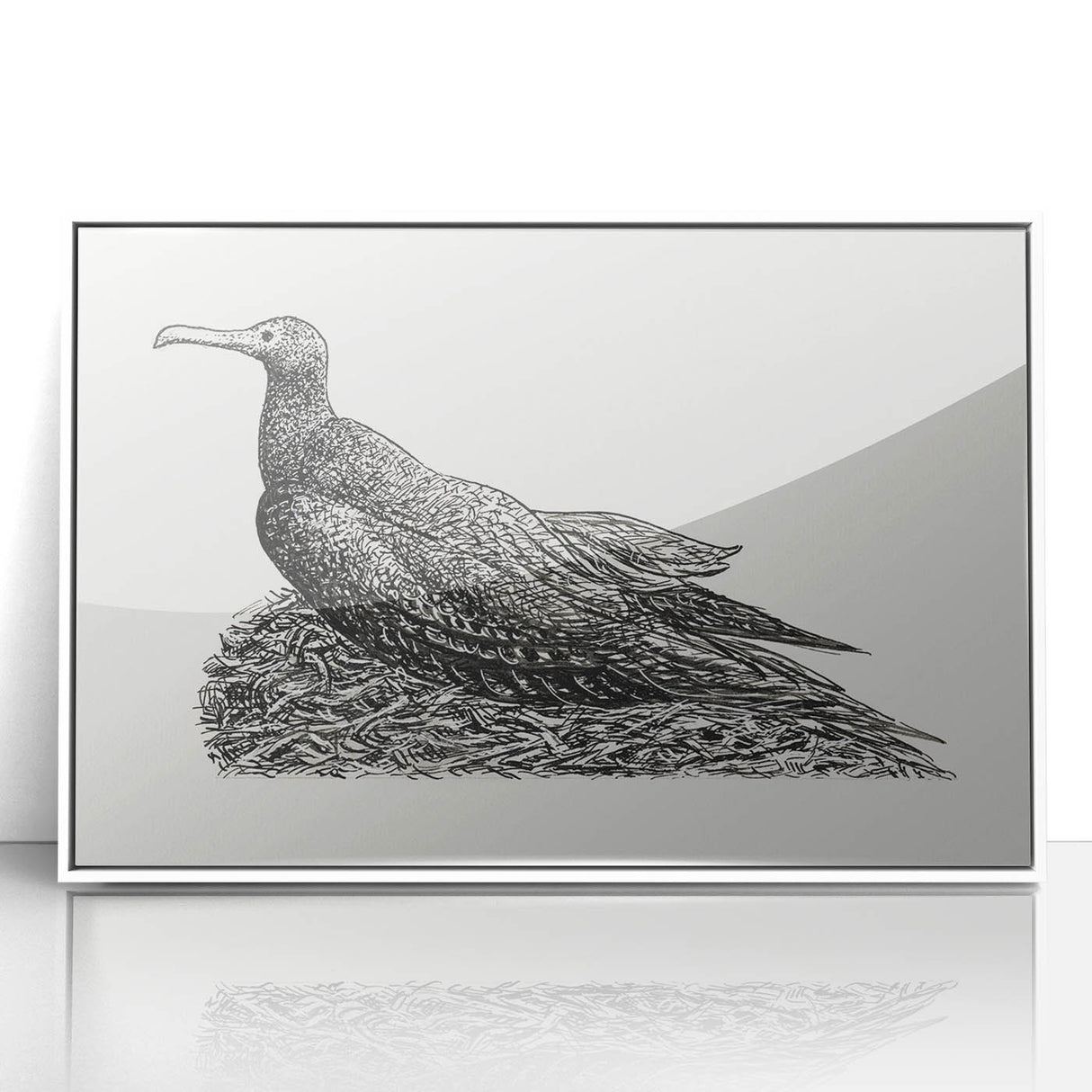 Modern Wall Art - Cormorant on Nest - Contemporary Minimalist Print
