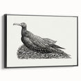 Modern Wall Art - Cormorant on Nest - Contemporary Minimalist Print