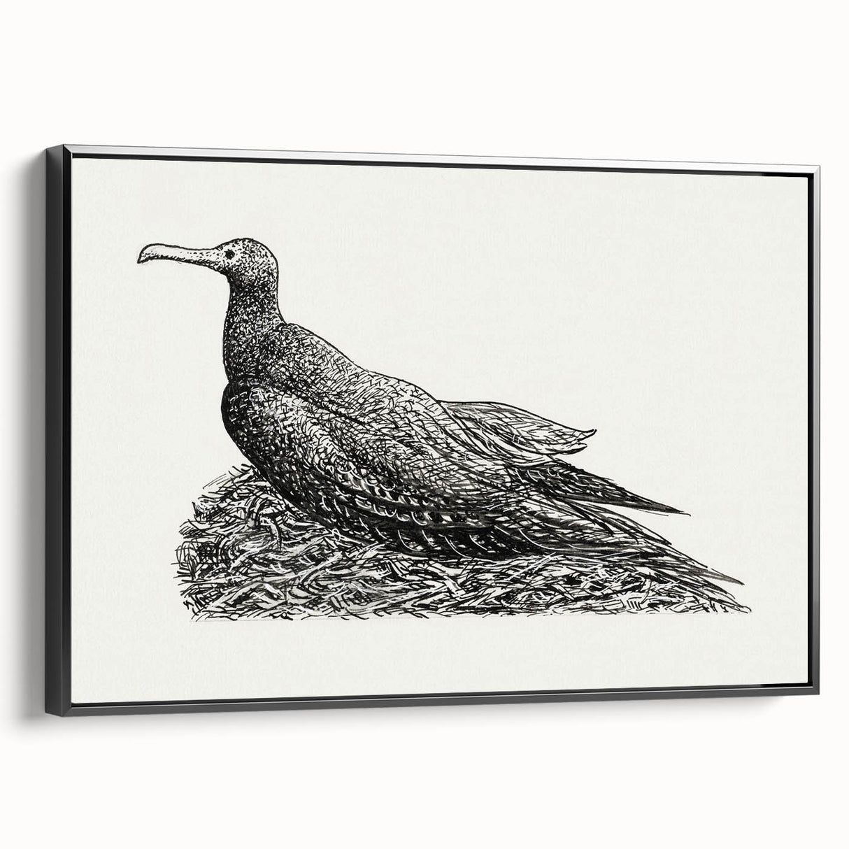 Modern Wall Art - Cormorant on Nest - Contemporary Minimalist Print