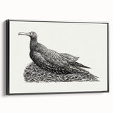 Modern Wall Art - Cormorant on Nest - Contemporary Minimalist Print