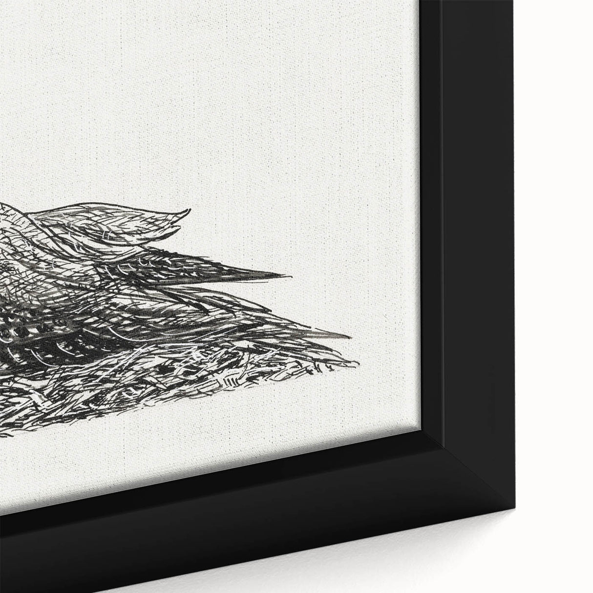 Modern Wall Art - Cormorant on Nest - Contemporary Minimalist Print