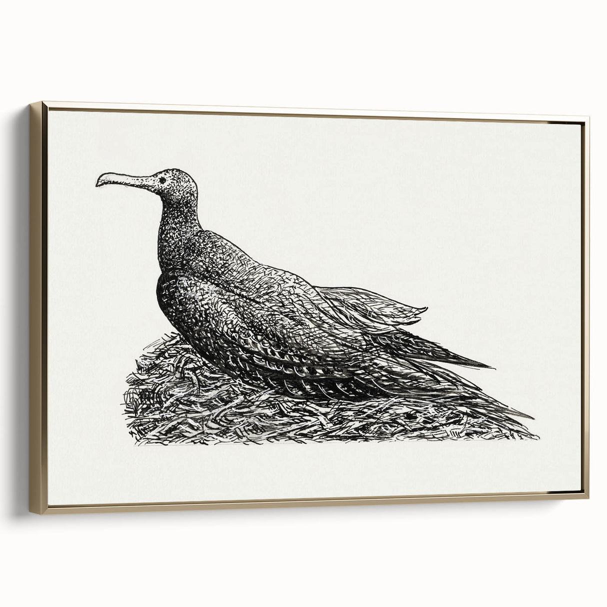 Modern Wall Art - Cormorant on Nest - Contemporary Minimalist Print