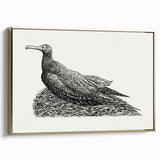 Modern Wall Art - Cormorant on Nest - Contemporary Minimalist Print