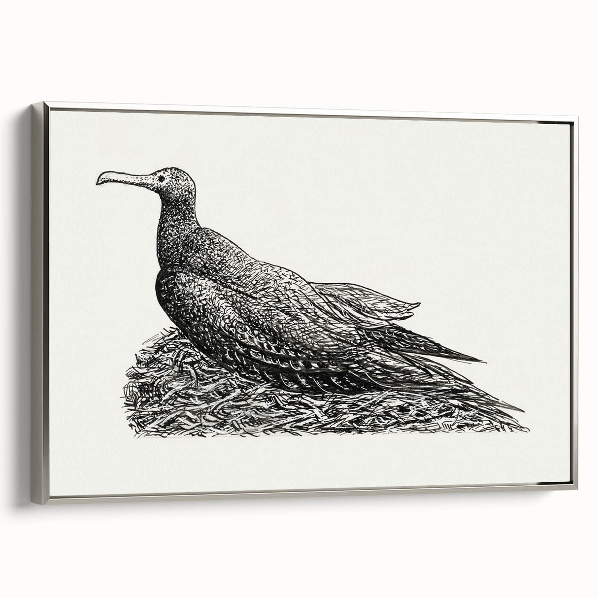Modern Wall Art - Cormorant on Nest - Contemporary Minimalist Print