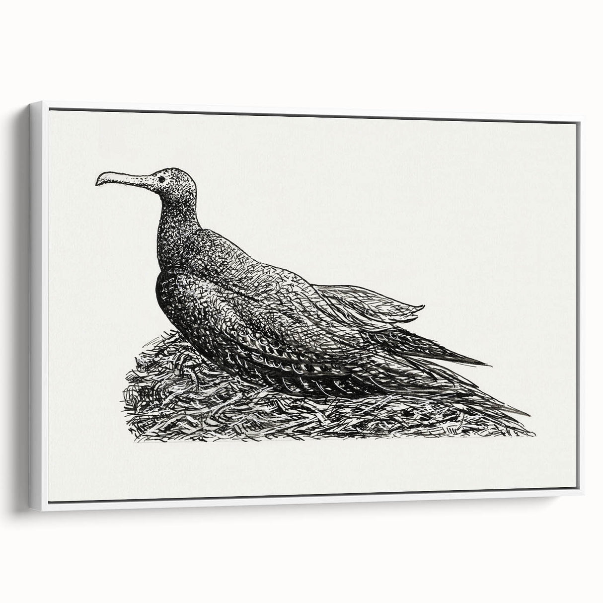Modern Wall Art - Cormorant on Nest - Contemporary Minimalist Print