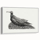 Modern Wall Art - Cormorant on Nest - Contemporary Minimalist Print