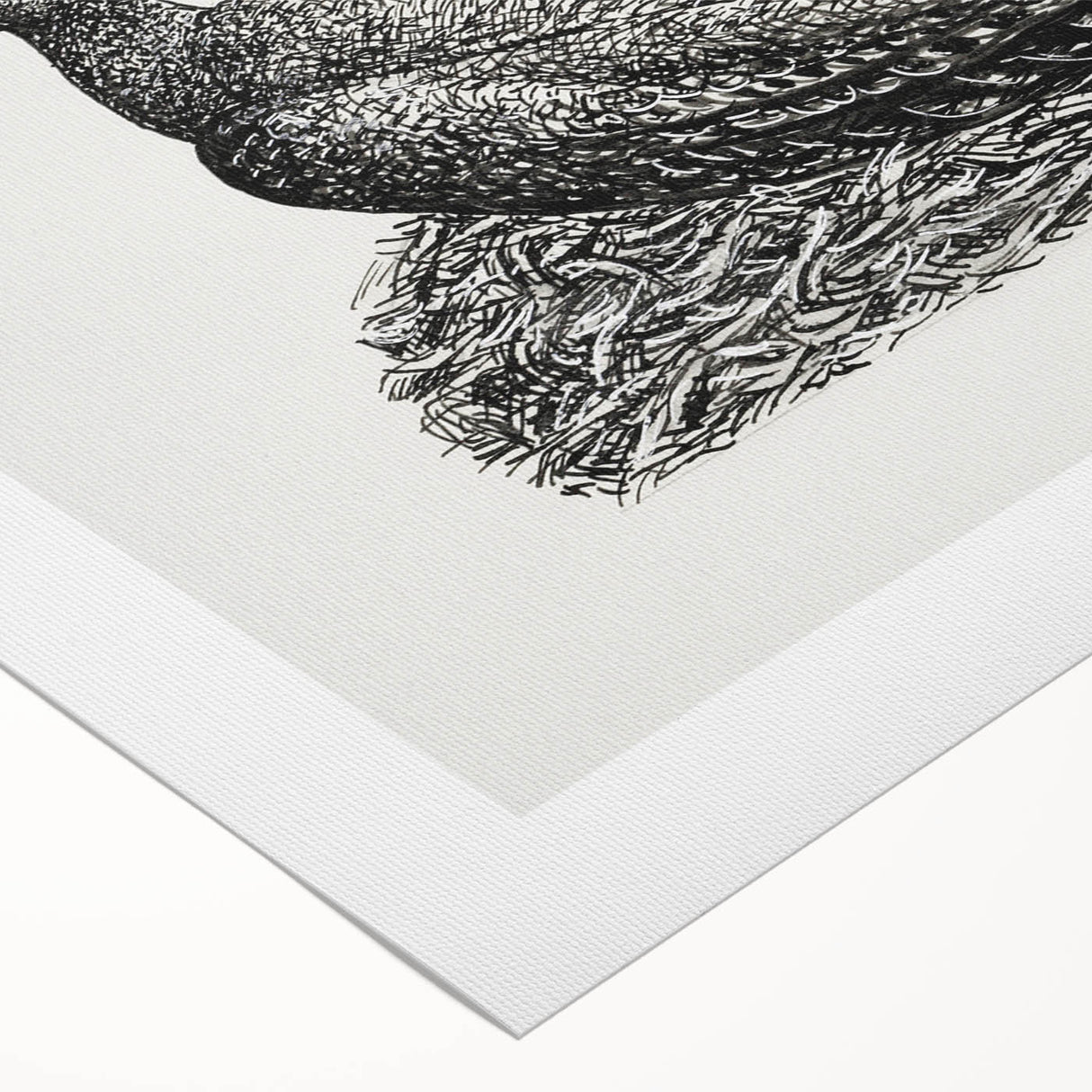 Modern Wall Art - Cormorant on Nest - Contemporary Minimalist Print