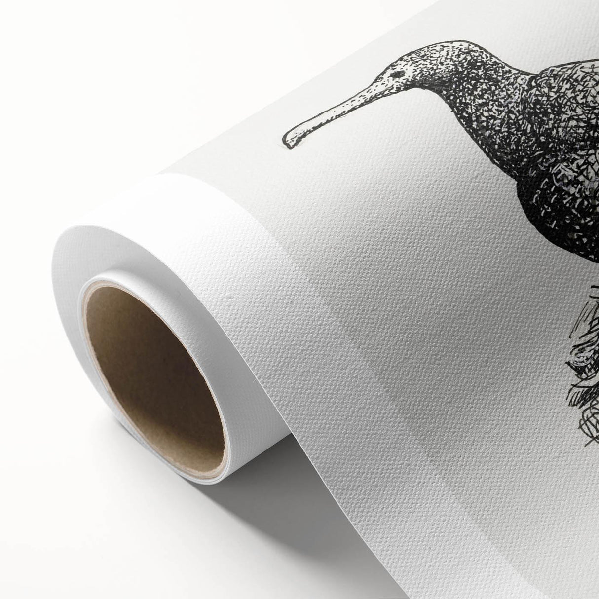 Modern Wall Art - Cormorant on Nest - Contemporary Minimalist Print