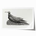Modern Wall Art - Cormorant on Nest - Contemporary Minimalist Print