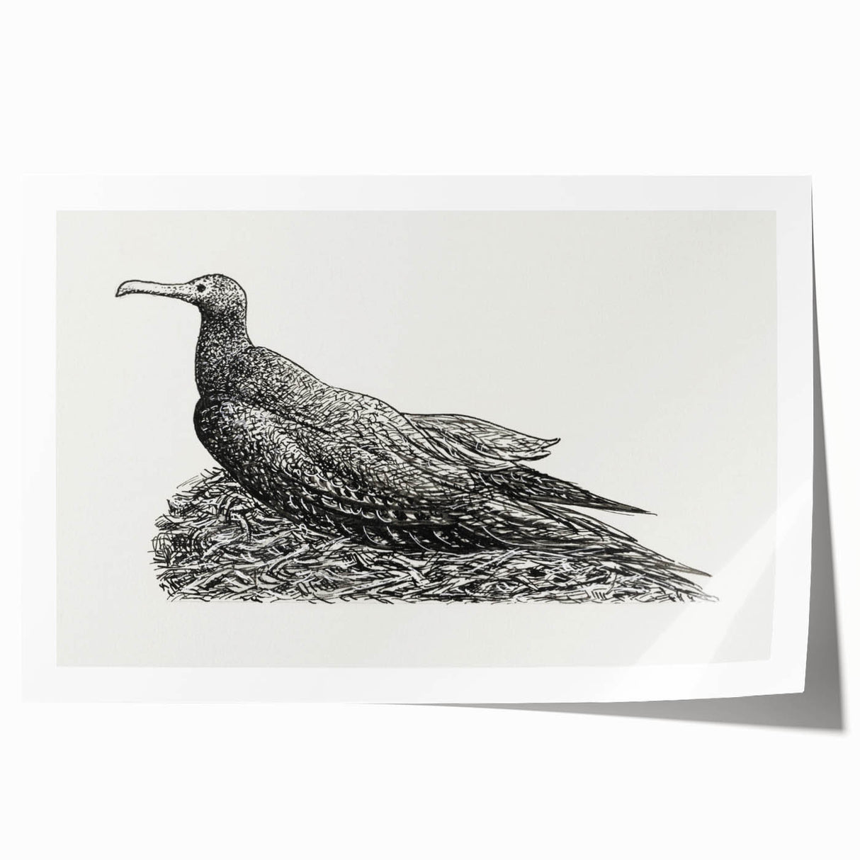 Modern Wall Art - Cormorant on Nest - Contemporary Minimalist Print