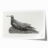 Modern Wall Art - Cormorant on Nest - Contemporary Minimalist Print