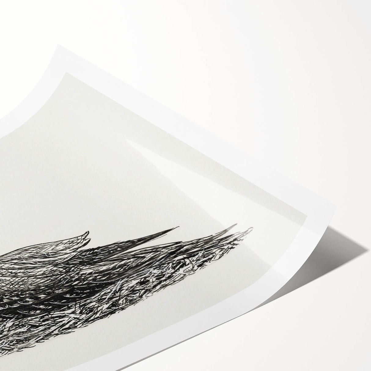 Modern Wall Art - Cormorant on Nest - Contemporary Minimalist Print