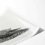 Modern Wall Art - Cormorant on Nest - Contemporary Minimalist Print