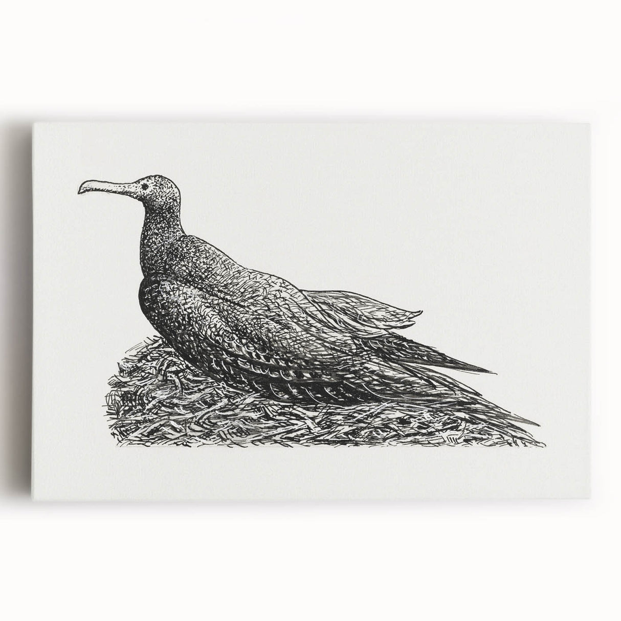 Modern Wall Art - Cormorant on Nest - Contemporary Minimalist Print