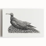 Modern Wall Art - Cormorant on Nest - Contemporary Minimalist Print