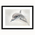 Adorable Dolphin Wall Art - Perfect for Kids Room Decor