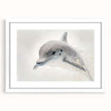 Adorable Dolphin Wall Art - Perfect for Kids Room Decor
