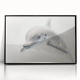 Adorable Dolphin Wall Art - Perfect for Kids Room Decor