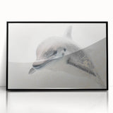 Adorable Dolphin Wall Art - Perfect for Kids Room Decor