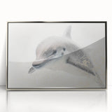 Adorable Dolphin Wall Art - Perfect for Kids Room Decor