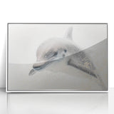 Adorable Dolphin Wall Art - Perfect for Kids Room Decor