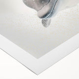 Adorable Dolphin Wall Art - Perfect for Kids Room Decor