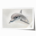Adorable Dolphin Wall Art - Perfect for Kids Room Decor