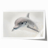 Adorable Dolphin Wall Art - Perfect for Kids Room Decor